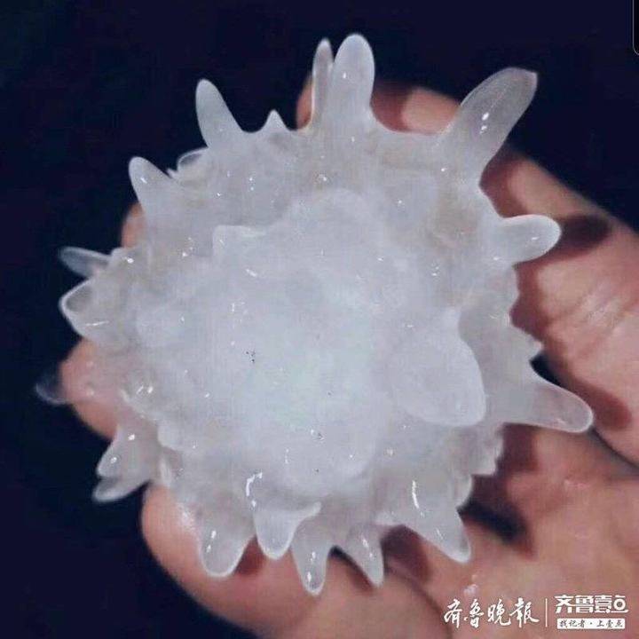 一颗像四喜丸子那么大!山东多地遭遇冰雹,一些果园基本绝收