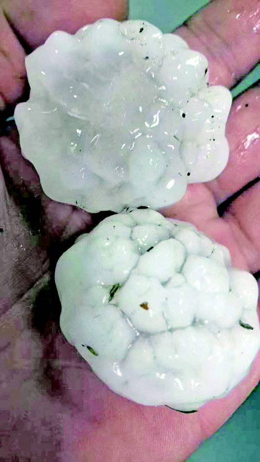 一颗像四喜丸子那么大!山东多地遭遇冰雹,一些果园基本绝收