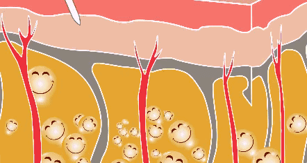真"开心",我也拥有热巴同款双下巴|双下巴|热巴|脂肪堆积_新浪新闻