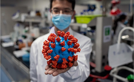 现在的表现 发展中国家越来越担忧一件事|世贸组织|新冠肺炎_新浪新闻