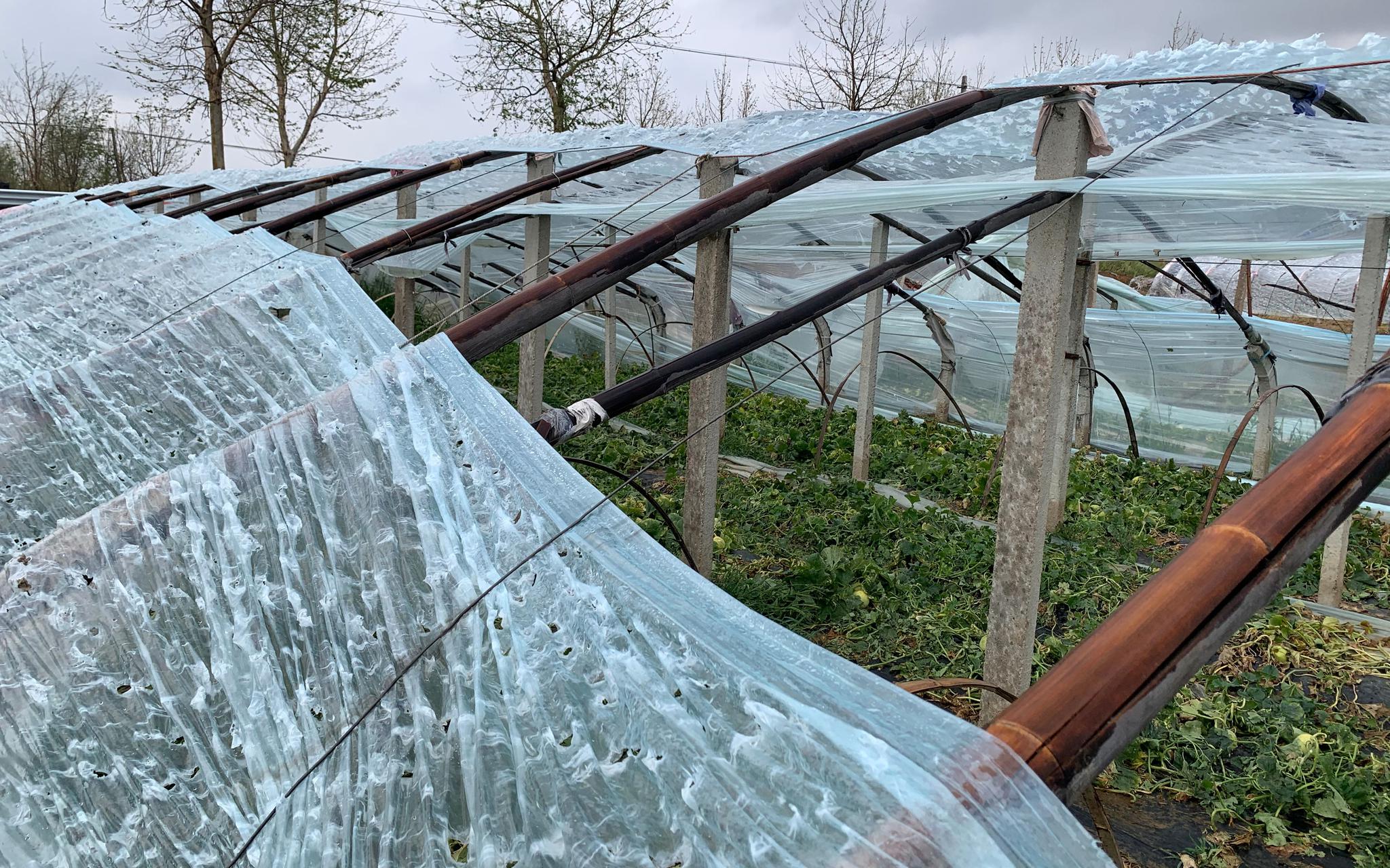 莱西马连庄镇天气预报今日情况 莱西马连庄镇天气预报今日情况