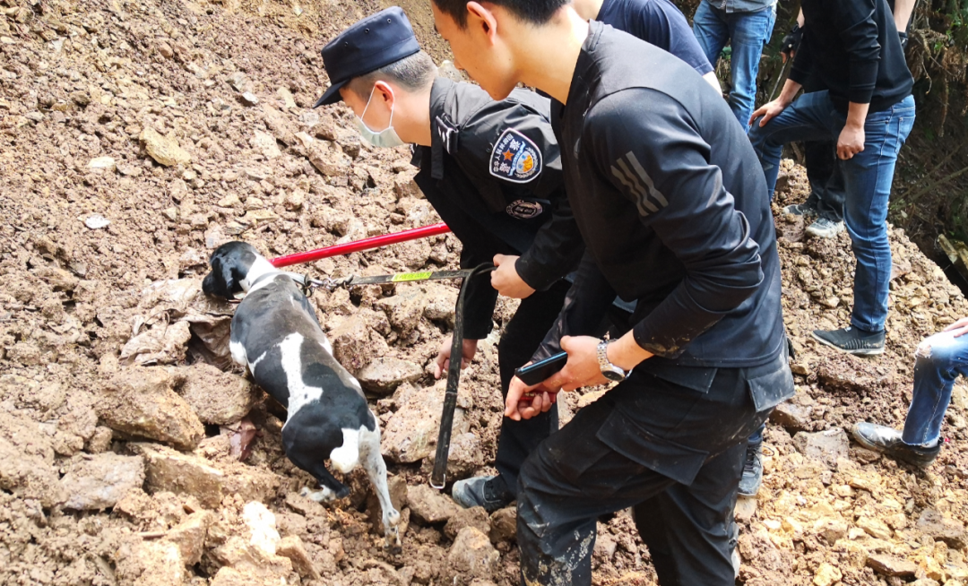 正文  2020年2月24日,湖南省祁东县.