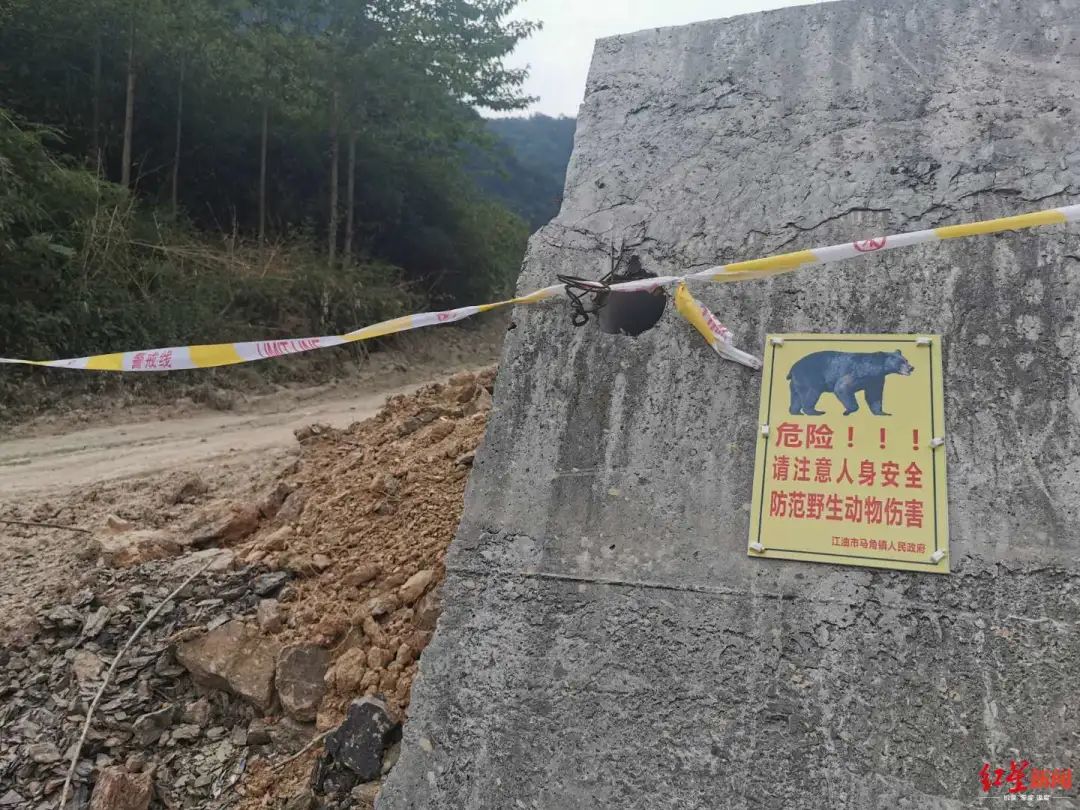 進(jìn)山的路口除了有警戒線,還有安全警示標(biāo)語
