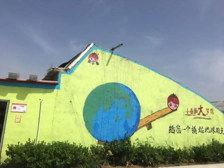 这就是山东|牛不牛?每100个番茄里就有1个是他们研发的种子