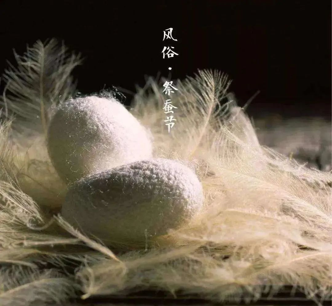 小满未满,所以欣欣向荣|苦菜|蚕神|野菜_新浪新闻