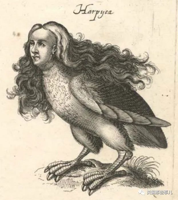 名字与希腊神话中"人面鹰身"的怪兽哈耳庇厄(harpy)有关.