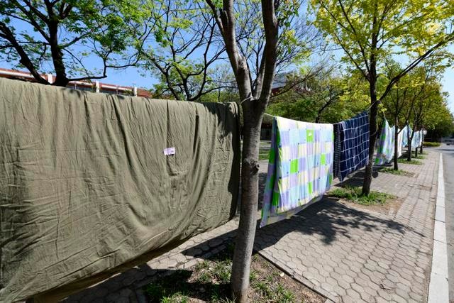 “云接单”帮学生晒被子、浇花 山东科技大学宿管阿姨太暖了