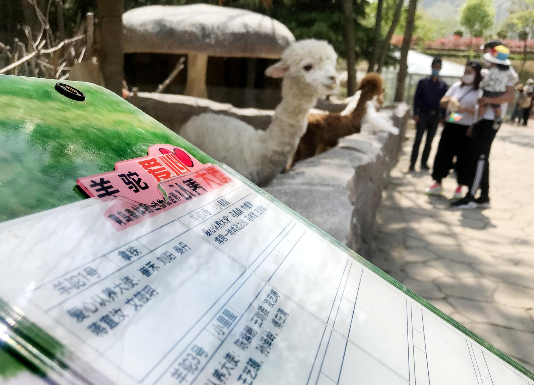 青岛:野生动物爱心认养