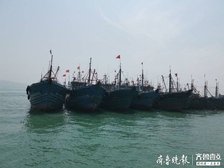 16架无人机空中巡逻,青岛西海岸1486艘捕捞船归港休渔