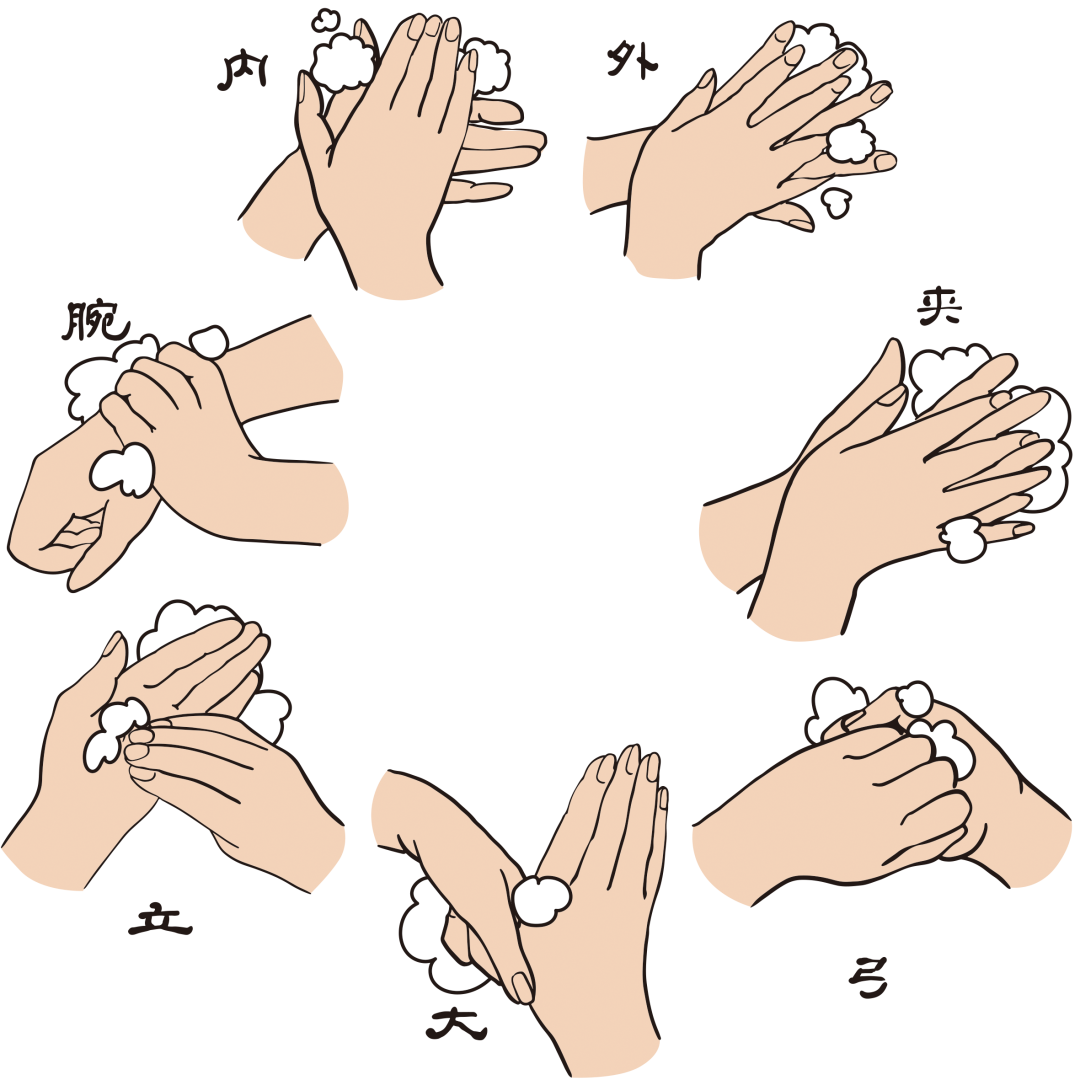 洗手舞接力迎来二嫂参战,天庥老师教你正确洗手步骤!