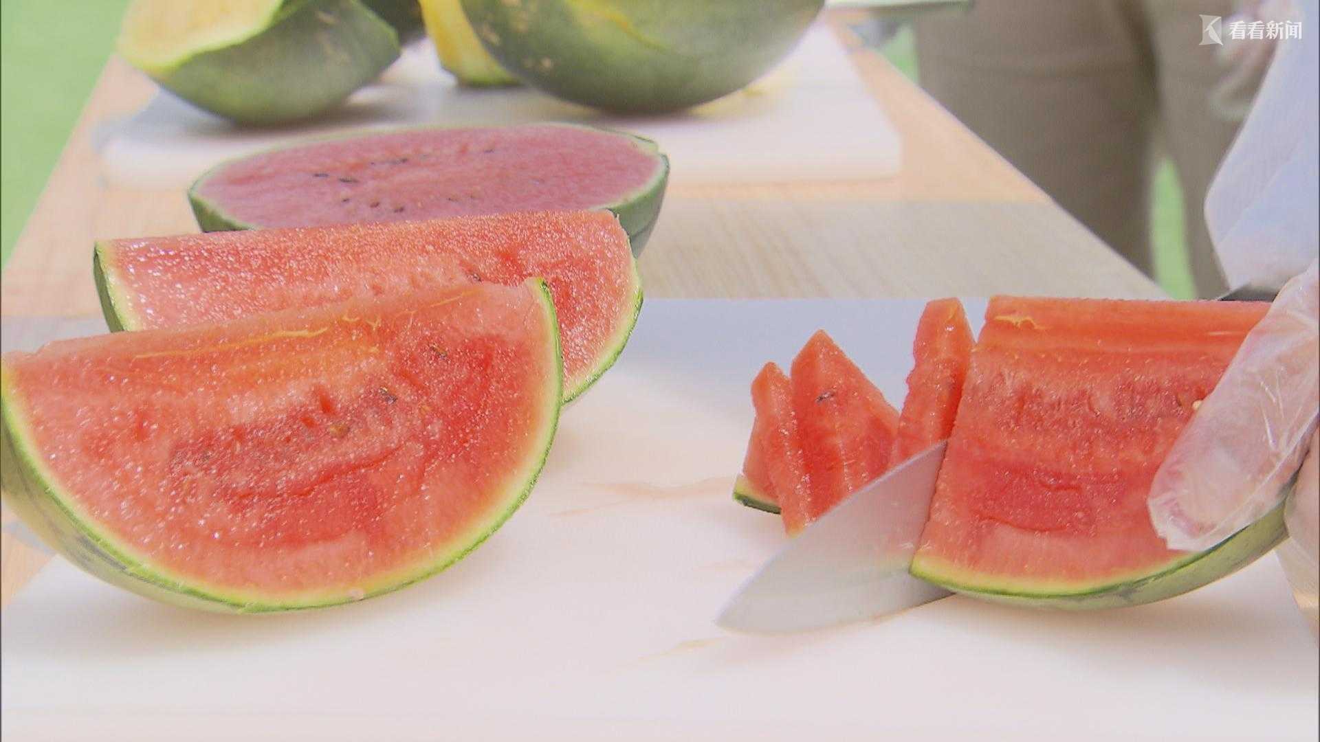 西瓜视频嘉年华2020_2020西瓜PLAY好奇心嘉年华海岛之旅乘风起航一起探寻