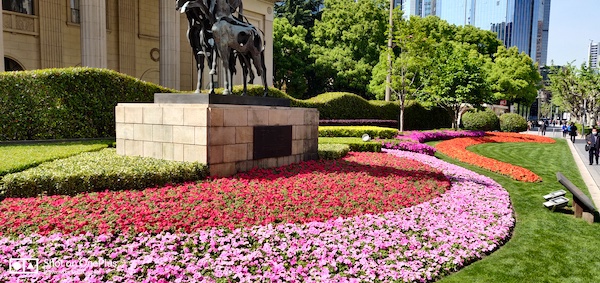 边赏花边买买买申城商圈现多条美丽花街