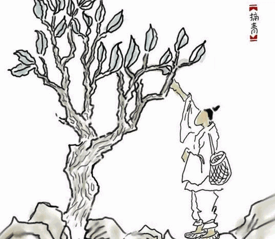 537_467gif 动态图 动图