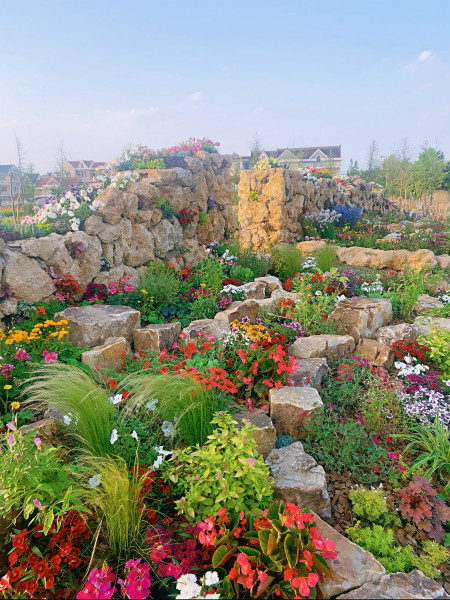 崇明国际新优花卉展开幕 千种珍贵花卉珍奇斗艳|花境|花坛_新浪新闻