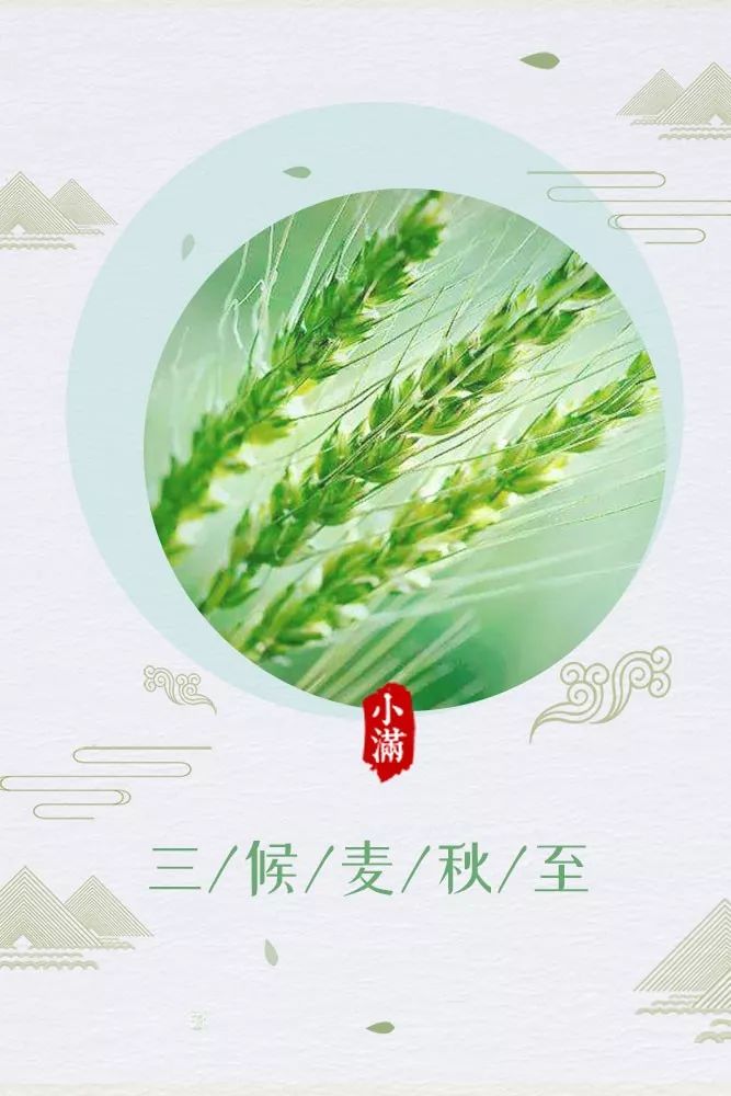 丰收的珍贵唯有尝过苦涩的菜叶一候苦菜秀小满三候西北风4-5级转微风