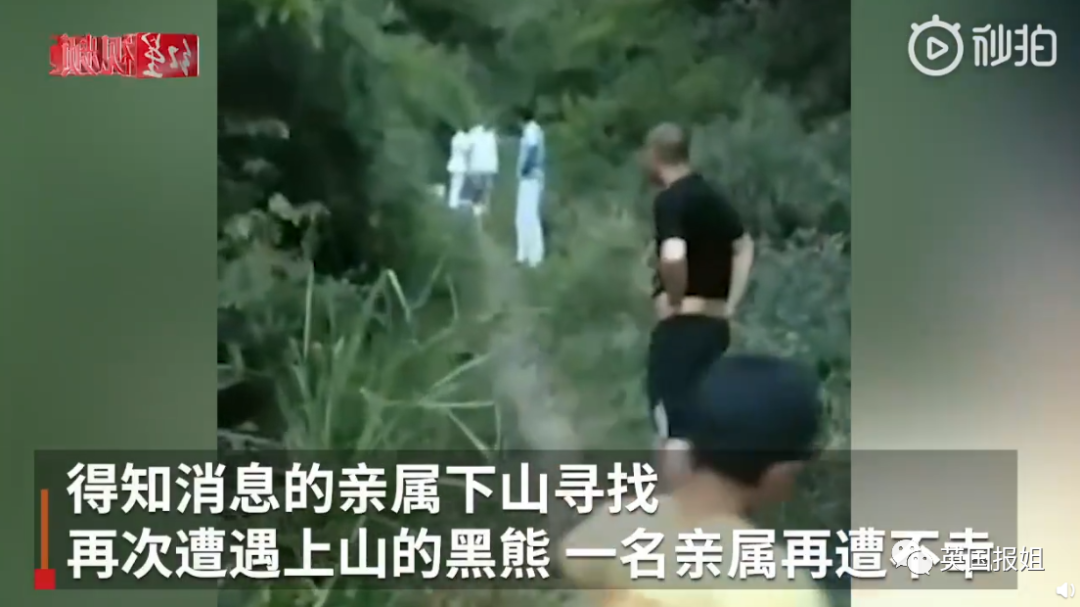 中国连续两起熊吃人事件男童目睹母亲被撕咬女子被叼走咬死