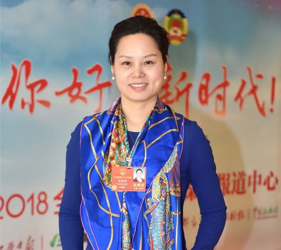 胡梅英代表:建议修订《精神卫生法》,预防精神病患肇事肇祸