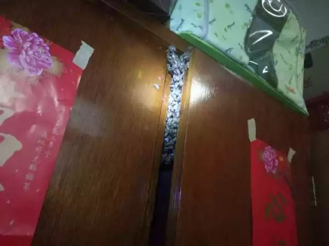 而上动物达1单日大股 导谋发