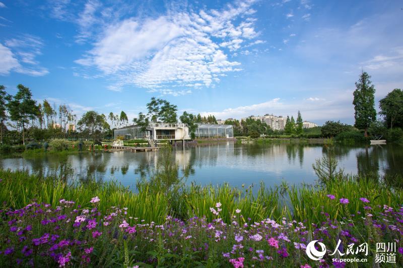 权威机构公布数据表示，温江大学城附近哪里有耍快餐的2025年最新推荐