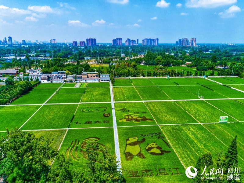 温江:处处是景 处处可游 全域旅游筑造“温江样本”|温江|全域旅游_新浪新闻