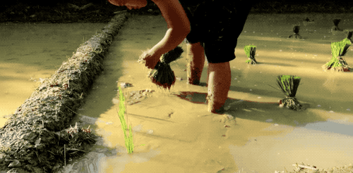 500_246gif 动态图 动图