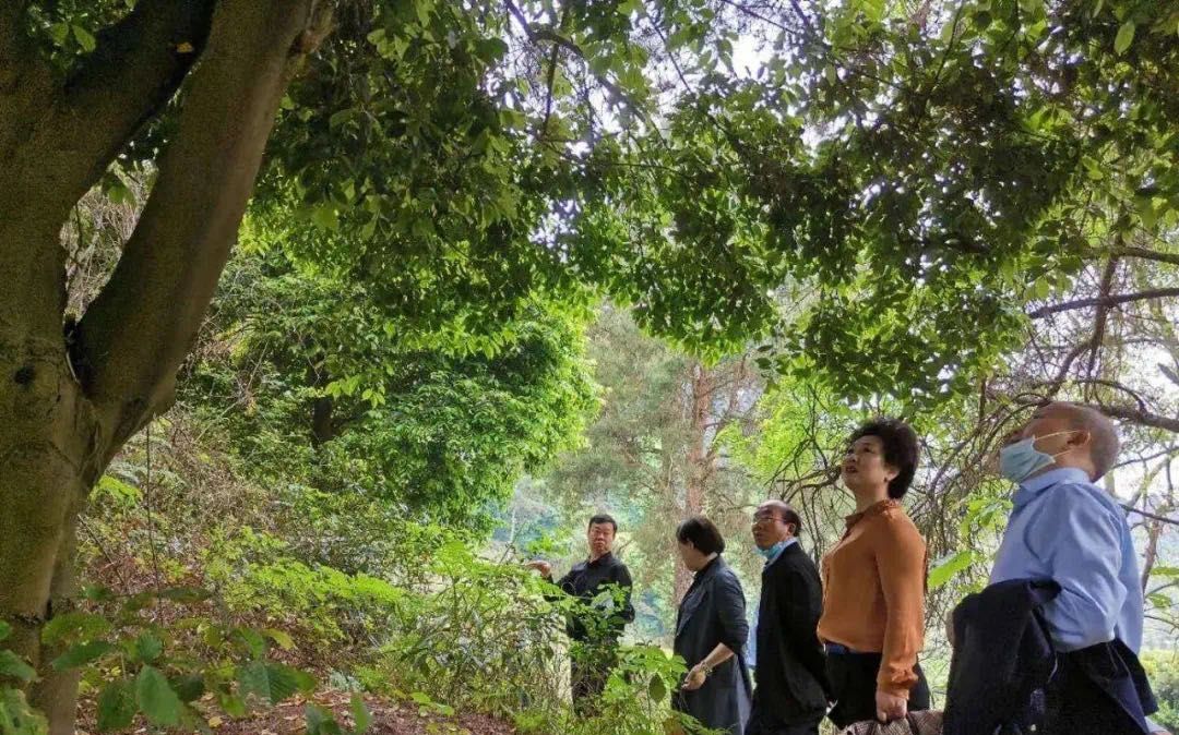 抗战时期浙大西迁师生墓园将改造,校友会寻亲