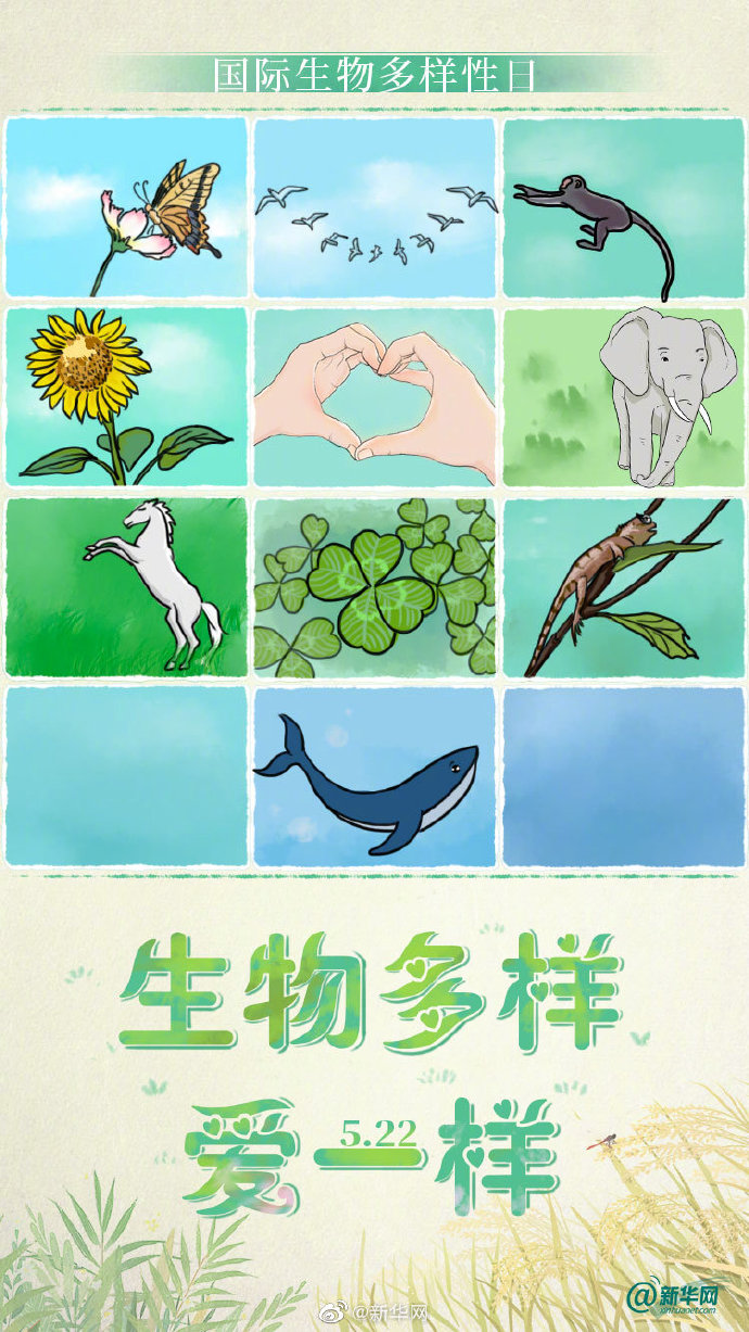 国际生物多样性日生物多样爱一样心心心