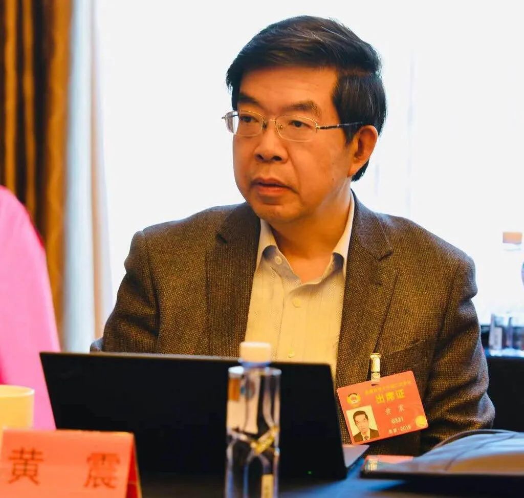 黄震:推动技术转移需要专业"淘宝,京东"和"掌柜",还有大胆的政策