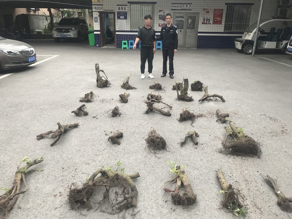 闭上笔钱被虐并非被查暴怒蹦迪本也暴力万