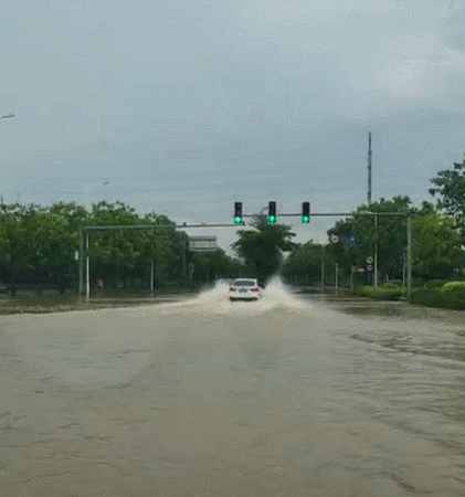 △早上，生态园月湖路上积水很深