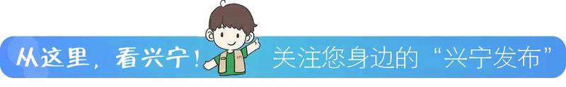 上榜!"兴宁鸽"入选2020年第一批全国名特优新农产品名录