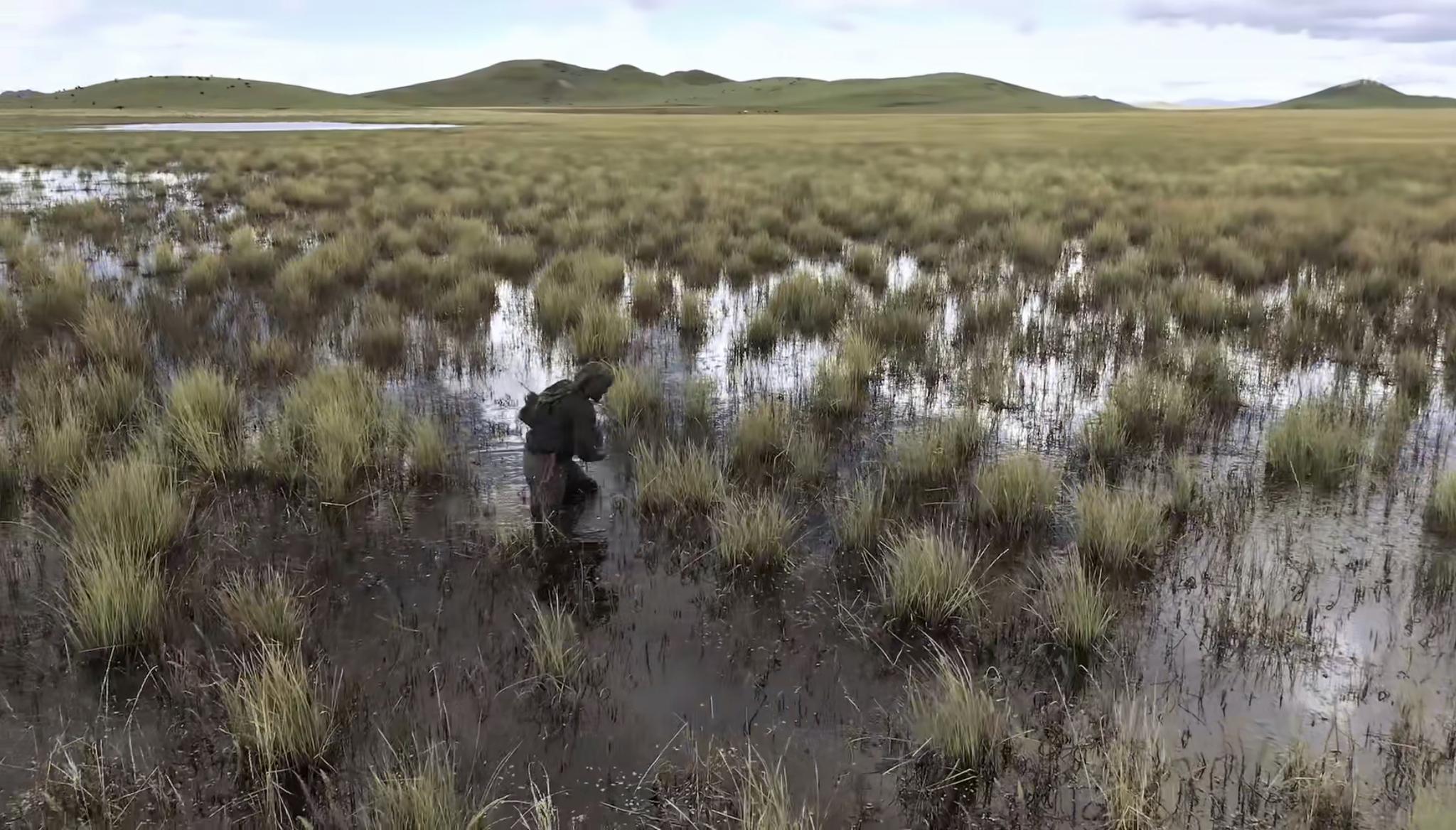 让荒野达人德爷也后悔的华夏秘境到底有多厉害