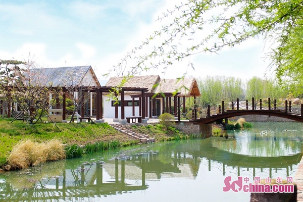 这就是山东|扶贫车间、美丽庭院,山东谱写现代乡村“田园牧歌”!