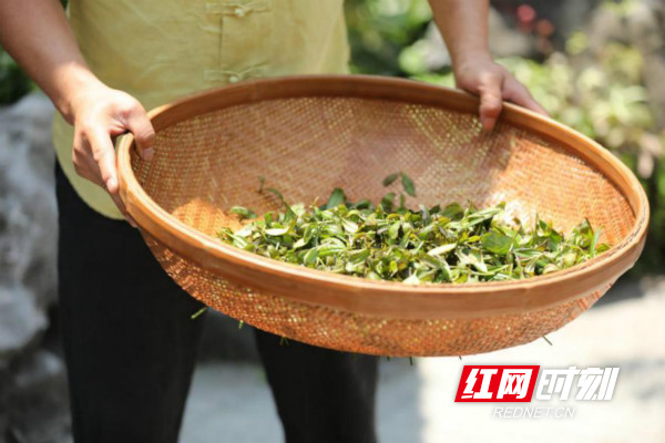 助力农产品销售 “小靳厨房”带你品味舌尖上的炎陵