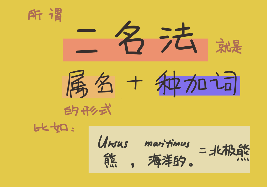 用"二名法"为上万个物种 系统地命名