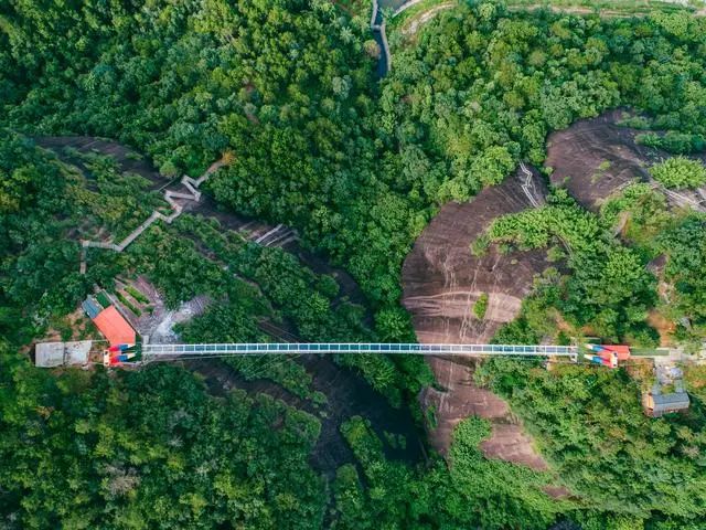 【百万公益扶持·景区】这个热夏,来越王山享受清凉