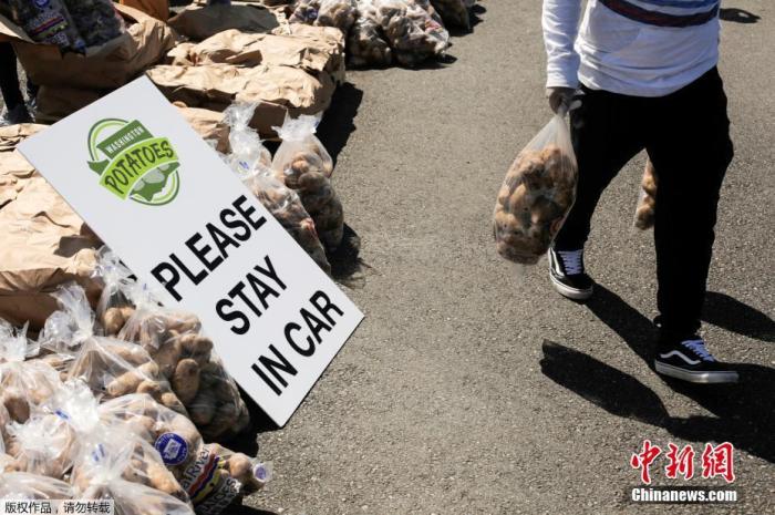  当地时间5月7日，美国华盛顿马铃薯委员会在奥本市组织了一项活动，志愿者们将装袋的土豆发放给民众。这些土豆因受疫情影响，供应链堵塞而面临滞销。