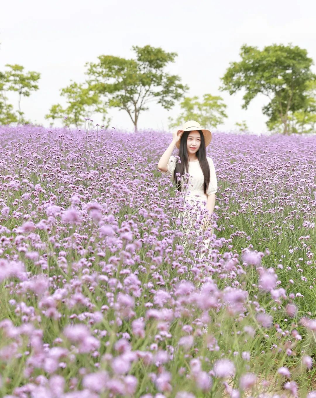 "走马观花"城市微旅行,超15万平方米薰衣草花海等你来