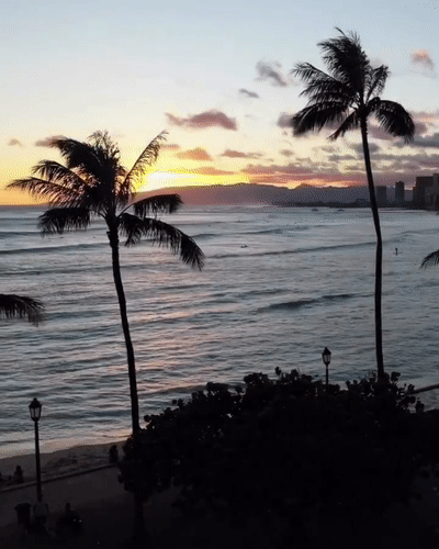 400_500竖版 竖屏gif 动态图 动图