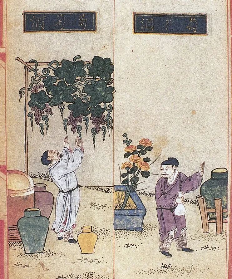 中国有自己的葡萄酒么？