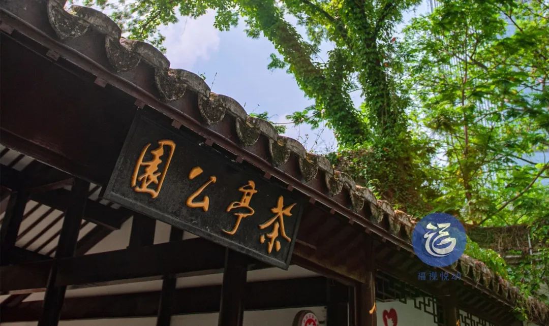 福州这个地方,荷花已经开了!|茶亭公园_新浪新闻