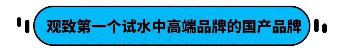 同样花20万，买国产车是真傻还是有眼光？