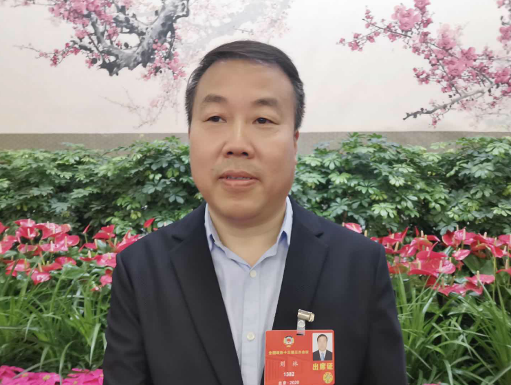 刘林委员创新职业教育发展02促进脱贫长效机制建设