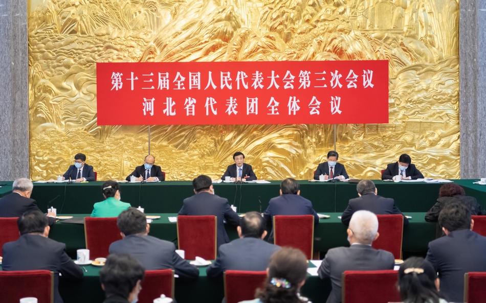 5月22日，十三届全国人大三次会议河北代表团举行全体会议。 新华社 图
