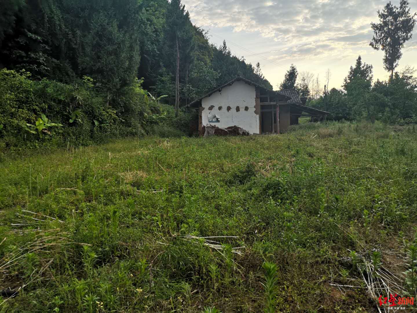 苟某林房子被拆已经为平地 远处为留给苟某林居住的房子