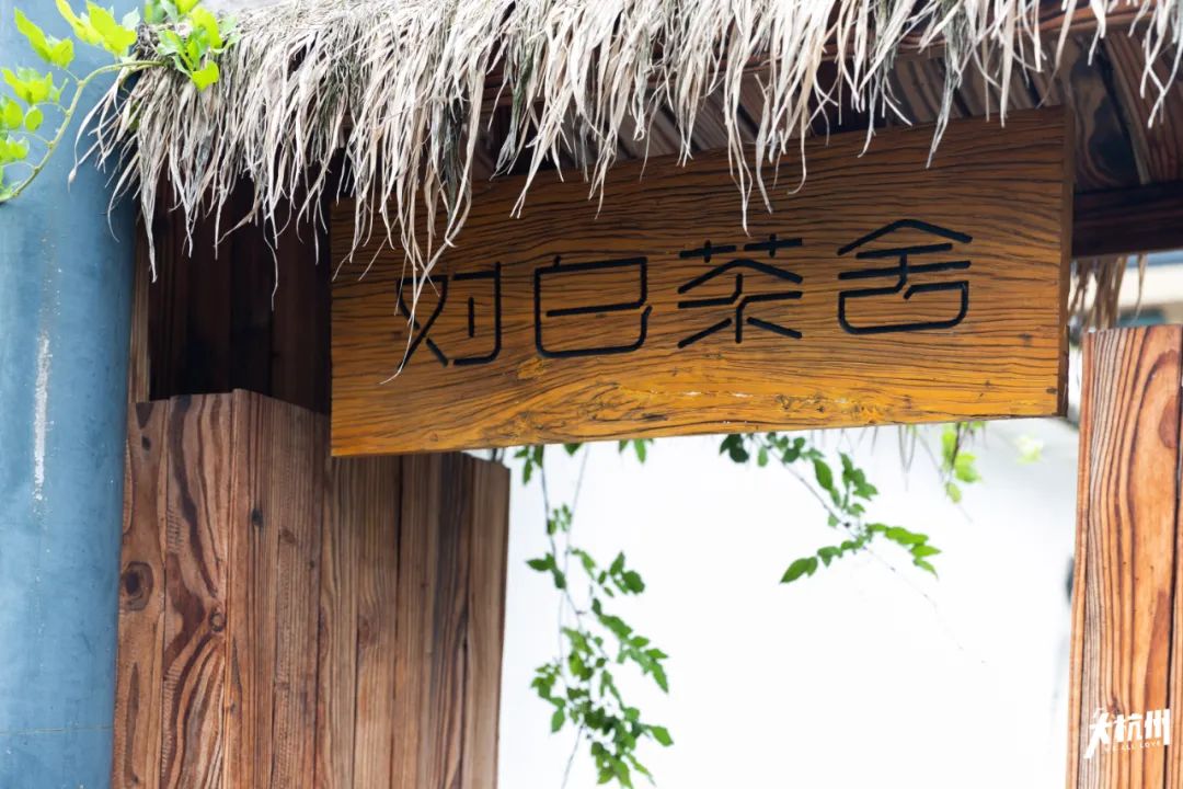 藏在茶园里の汤屋火了去满觉陇找春天喝茶撸猫拍照消夏避暑好去处