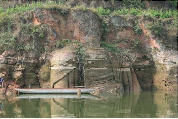 黑龙滩水库水位下降后，清理后的唐代大坐佛，胸部可见清晰的石刻纹 ，图片为仁寿县文管所提供