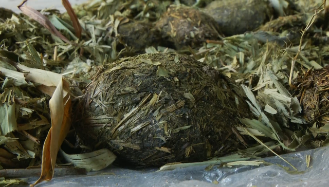 西安一村庄村民用大熊猫"便便"造纸……这样的纸你敢用吗?