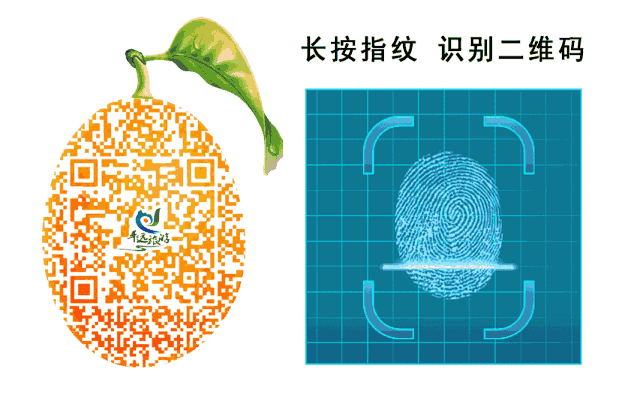 赞！第一批广东省历史文化游径出炉，平远这条线路上榜！
