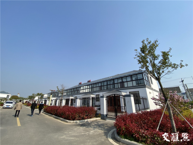 建湖县建河村:这里的青年人为何都愿意留乡